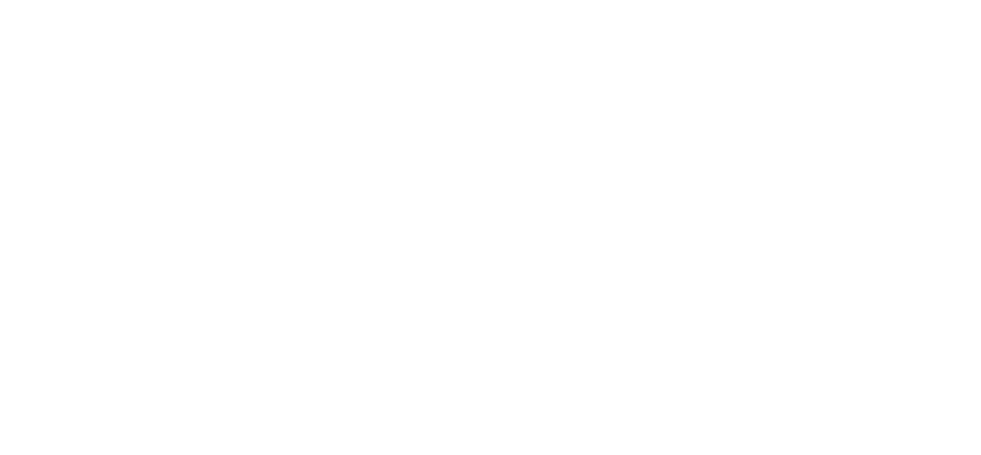 REGISTRO INTERNACIONAL DE MARCAS